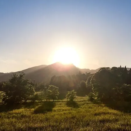 Gospodarstwo agroturystyczne Son Pont Puigpunyent (Mallorca)