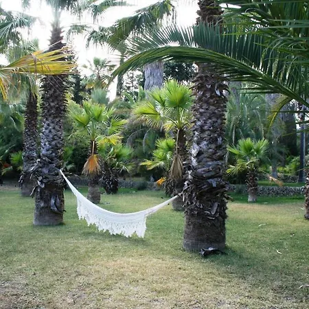 Son Pont Gospodarstwo agroturystyczne Puigpunyent (Mallorca)