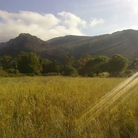 Son Pont Agroturismo *